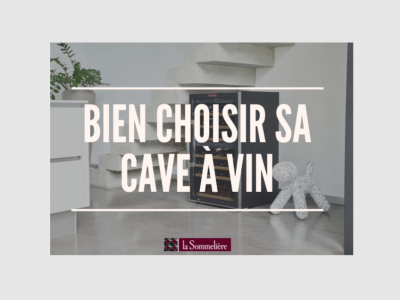 Comment choisir une cave à vin, quelles questions se poser ?